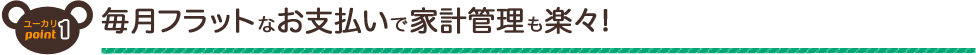 毎月フラットなお支払いで家計管理も楽々