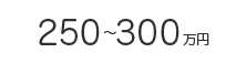 250～300万円